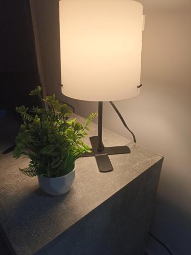 een lamp op een aanrecht met een potplant bij Apartman Milena in Veliko Gradište