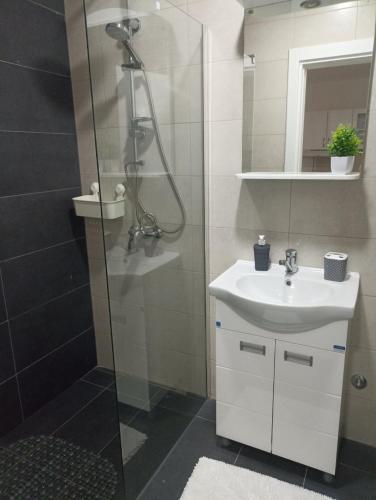 een badkamer met wastafel en douche bij Apartman Milena in Veliko Gradište