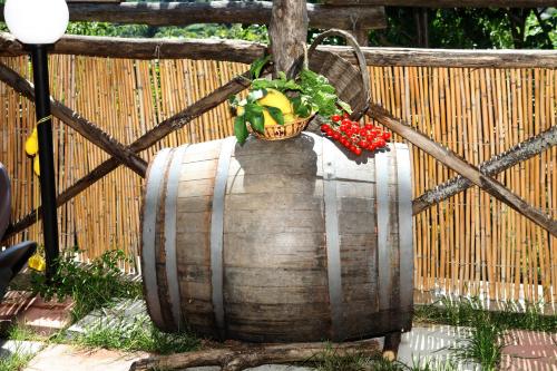 a barrel with a plant in it with a basket of flowers at Agriturismo da Regina in Tramonti