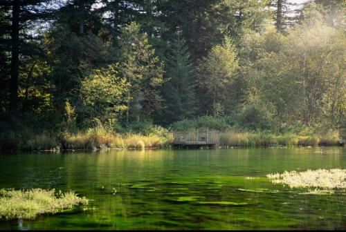 a body of water with trees in the background at Maple Haven Cabin in Maple Falls