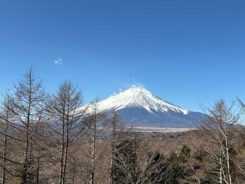 a snow covered mountain in the distance behind trees at 富士見テラス山中湖マイペンライ in Yamanakako