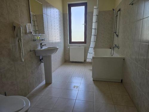 a bathroom with a sink and a shower and a tub at Vila Cristalfrost in Poiana Brasov