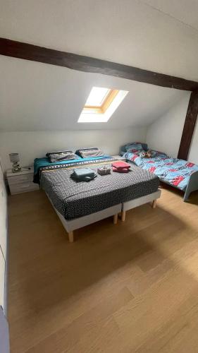 une chambre avec deux lits dans un grenier dans l'établissement Appartement cosy et calme, à Bonneville