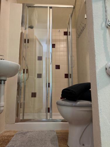 a bathroom with a shower with a toilet and a sink at La piazzetta in Arma di Taggia
