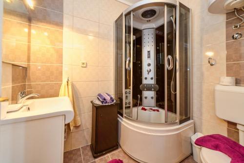 a bathroom with a shower with a toilet and a sink at Holiday Home & Apartments Primavera in Pula