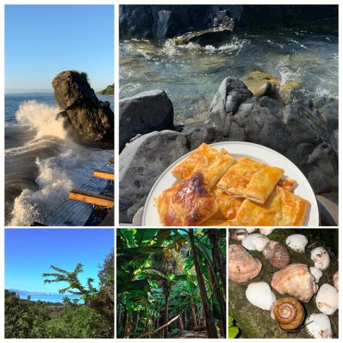 a collage of pictures of food on a beach at Forest & Sea Campsite in Tsikhisdziri
