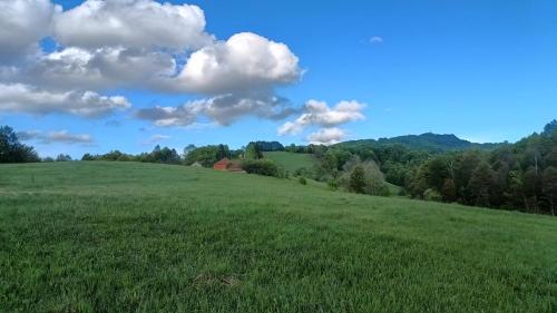 a field of green grass with a house in the distance at Konak Povlen in Prokići