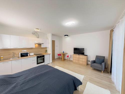 Danube river flat with balcony,free garage