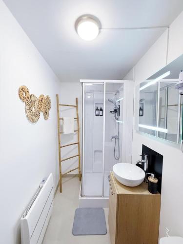 un baño con lavabo y ducha en Labyrinthe, en Nancy