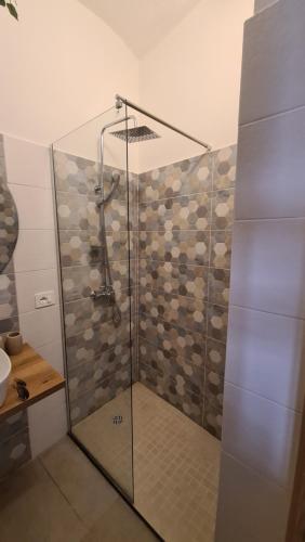 a shower with a glass door in a bathroom at Molise Garden Apartments Renato in Boiano