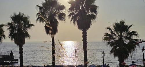 a group of palm trees in front of the ocean at Dimora Acqua del Fico in Castellabate