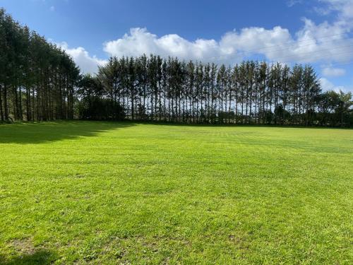 a large grass field with trees in the background at Kobbeldalhus in Bredsten