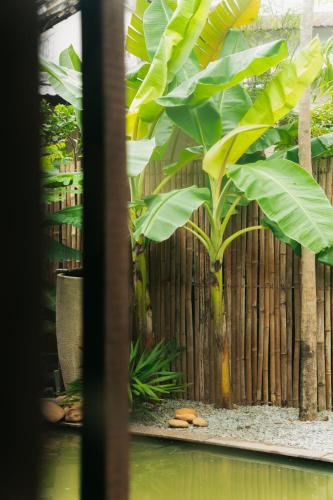 Jardín al aire libre en CasaWa Homestay Hue