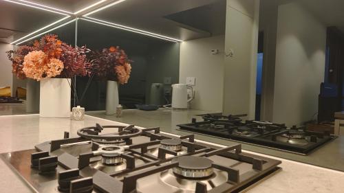 Cuisine ou kitchenette dans l'établissement Queen's Wharf Apartments