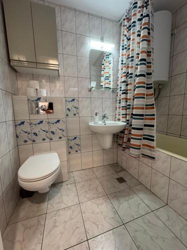 a bathroom with a toilet and a sink at Eric's Apartament in Băile Herculane
