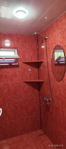 a bathroom with a shower with red walls and shelves at Ana hotel in Ureki