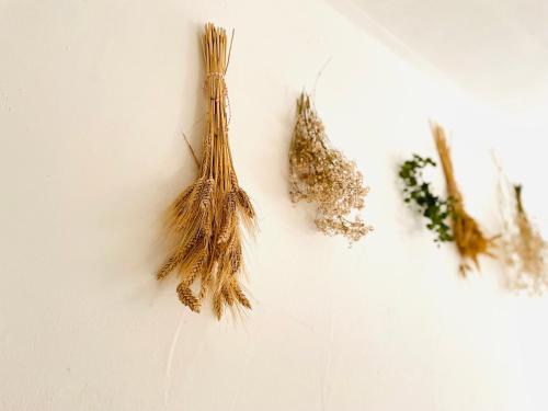 Φωτογραφία από το άλμπουμ του B&B de Wisperhof σε Wezup
