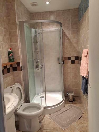 une salle de bain avec une douche, des toilettes et un lavabo dans l'établissement L'île Verte chambre avec salle de bain privée, à Champagnac