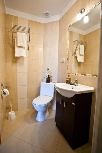 a bathroom with a toilet and a sink at Villa Fiore in Biały Dunajec