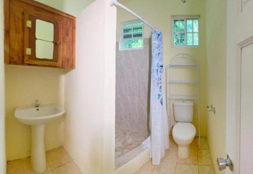 a bathroom with a shower and a toilet and a sink at Tropical Breeze Grenada in Westerhall Land Settlement