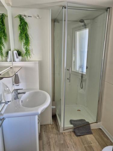 a bathroom with a shower and a sink at Mobile home San Antonio in Sveti Filip i Jakov