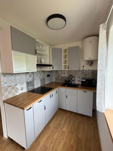 Kuchyň nebo kuchyňský kout v ubytování Apartmány Růžová