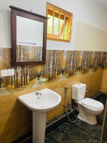 a bathroom with a toilet and a sink and a mirror at Lavender Resort in Habarana