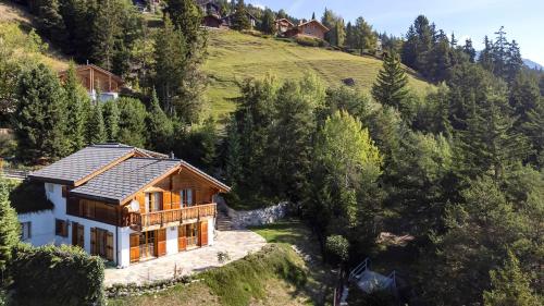 Quiet cottage with extraordinary view