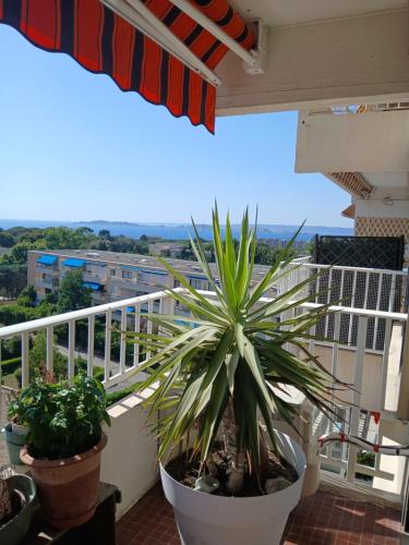 Appartement pour 3 à 4 personnes dans le 8eme arrondissement de Marseille, dans la colline et à 5 minutes à pied de la mer