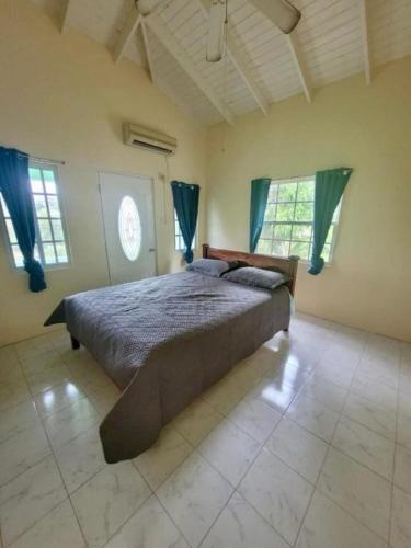 a bedroom with a large bed with blue curtains at Tropical Breeze Grenada in Westerhall Land Settlement