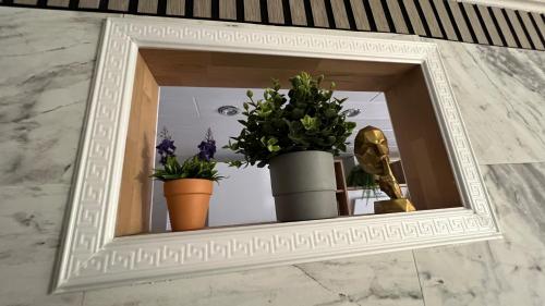 a mirror with three plants on a shelf at Zum Sterngässchen in Ludwigshafen am Rhein