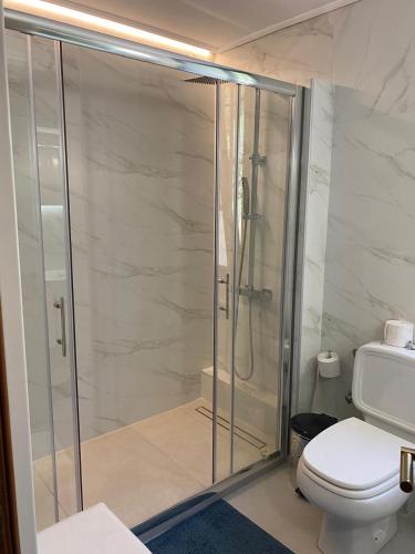 a bathroom with a glass shower with a toilet at Mytilini luxury pool VILLA AMIKA in Mytilini