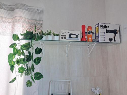 a shelf on the wall with items on it at Refúgio do Abricó - apto com ar e garagem in Rio das Ostras