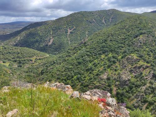 a view of auliculiculiculiculiculiculiculiculiculiculiculic at Domu de mannai - Casa vacanze in Sardegna in SantʼAndrea Frius