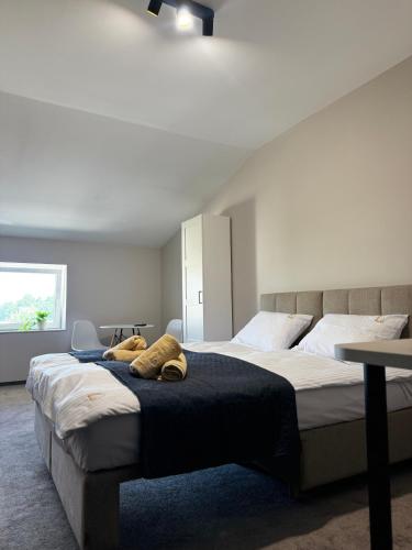 Apartamenty Wałowa 7