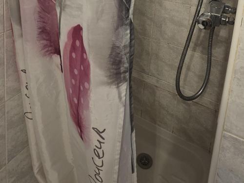 une douche avec un rideau de douche avec une image dans l'établissement T2 MER ET PLAGE A 300 mètres, à Argelès-sur-Mer