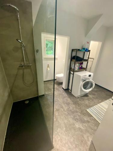 a bathroom with a shower and a toilet at Das Garden House - Hohensee Erdgeschoss in Zemitz
