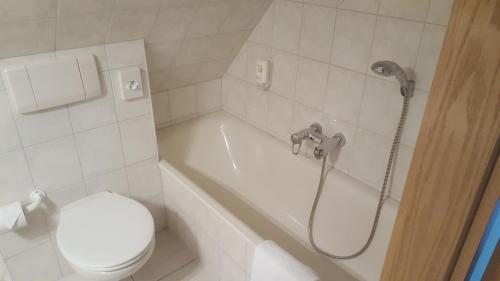 a bathroom with a tub and a toilet and a shower at Hotel Ziegenkrug Schweriner Tor in Pampow