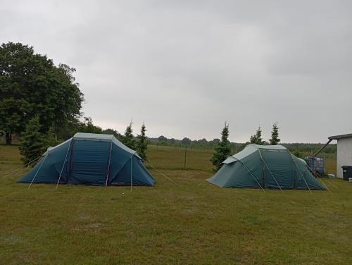 Peace & Quiet Pole Namiotowo-Kempingowe