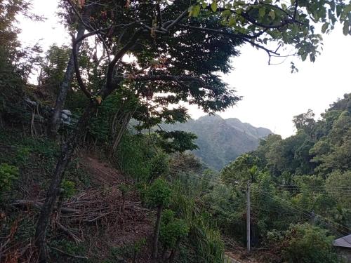 a view of a hill with trees and mountains at Evergreen Cottage in Ella