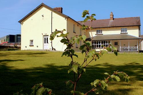 a large white house with a green field in front of it at The Monkey Puzzle in Bunclody
