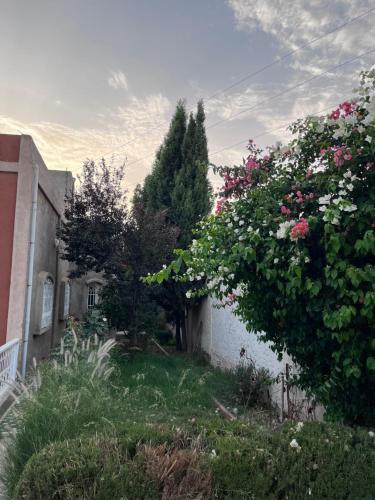 a yard with flowers and trees and a building at Riad de luxe à safi in Safi