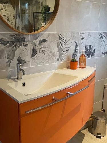 a bathroom with a sink and a mirror at La scierie Massonat in Cossaye