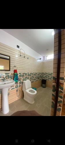 ビムタルにあるThe Mount Brezeの白いトイレと洗面台のあるバスルーム