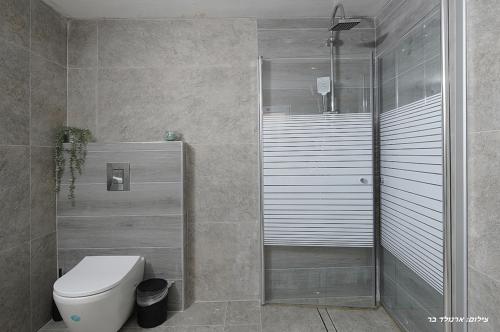 a bathroom with a toilet and a glass shower at וילה ויליז'ן in H̱azon