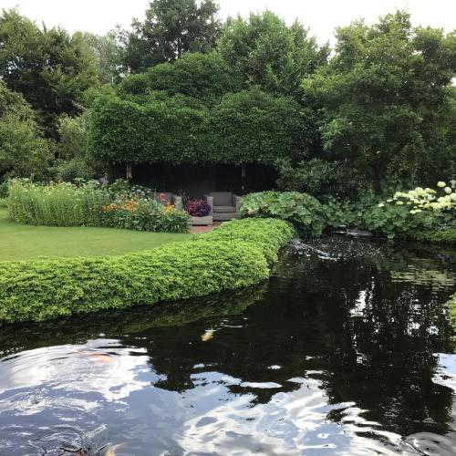 a pond in a garden with flowers and plants at Appartement de Tuinkamer in Ter Apel