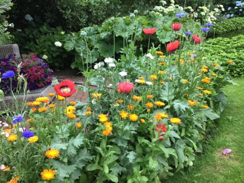 a garden filled with lots of colorful flowers at Appartement de Tuinkamer in Ter Apel