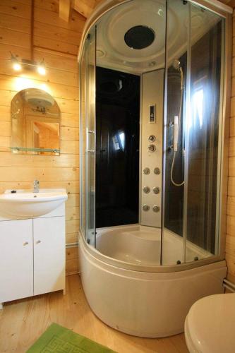 a bathroom with a shower with a sink and a toilet at Domki letniskowe Wrzoski in Kamień Pomorski