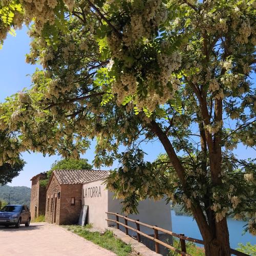 Φυσικό τοπίο κοντά σε αυτό το hostel