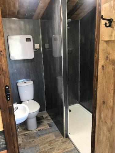 a bathroom with a toilet and a shower at Wild Meadow Camping in Llandysul